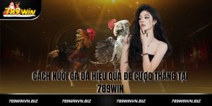 Cách Nuôi Gà Đá Hiệu Quả Để Cược Thắng Tại 789win