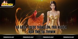 Đá Gà C1 - Cược Thắng Lớn, Trải Nghiệm Kịch Tính Tại 789win