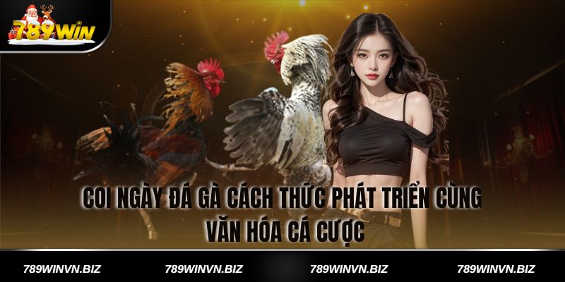 Coi ngày đá gà cách thức phát triển cùng văn hóa cá cược