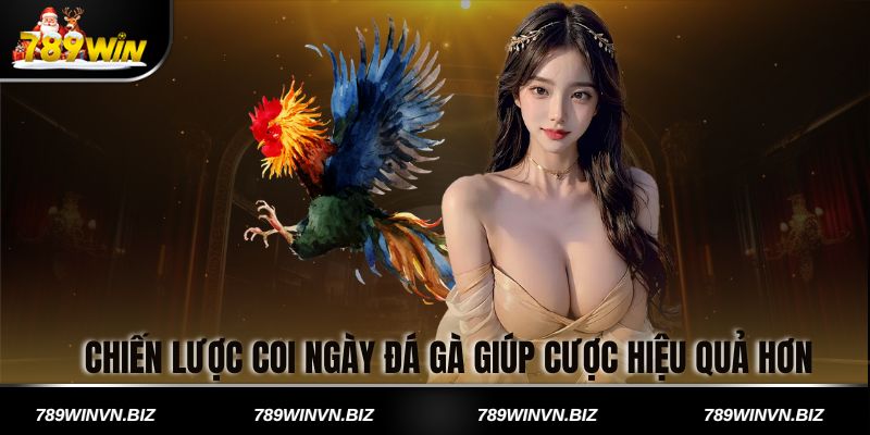 Chiến lược coi ngày đá gà giúp cược hiệu quả hơn