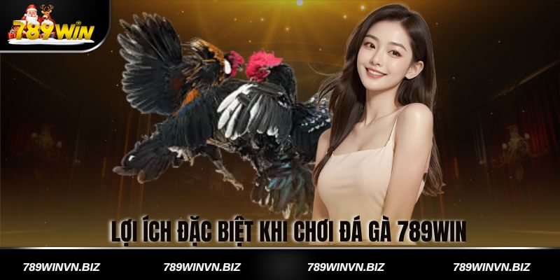 Lợi Ích Đặc Biệt Khi Chơi Đá Gà 789win