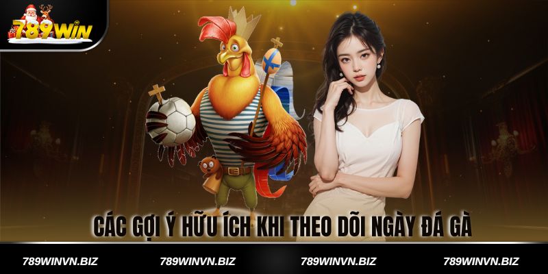 Các gợi ý hữu ích khi theo dõi ngày đá gà