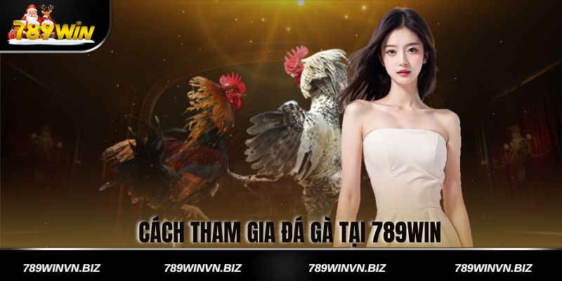 Cách Tham Gia Đá Gà Tại 789win