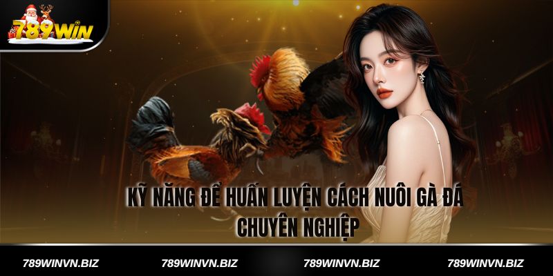 Kỹ năng để huấn luyện cách nuôi gà đá chuyên nghiệp