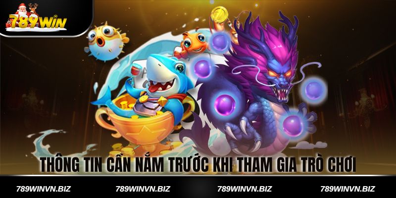 Thông Tin Cần Nắm Trước Khi Tham Gia Trò Chơi