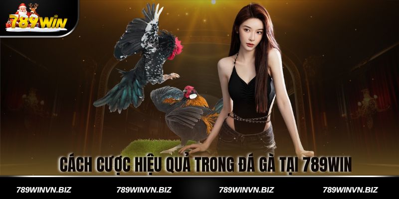 Cách Cược Hiệu Quả Trong Đá Gà tại 789win