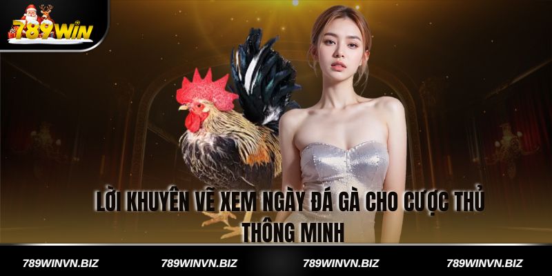 Lời khuyên vẽ xem ngày đá gà cho cược thủ thông minh